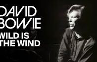 David Bowie – Wild Is The Wind (Official Video)